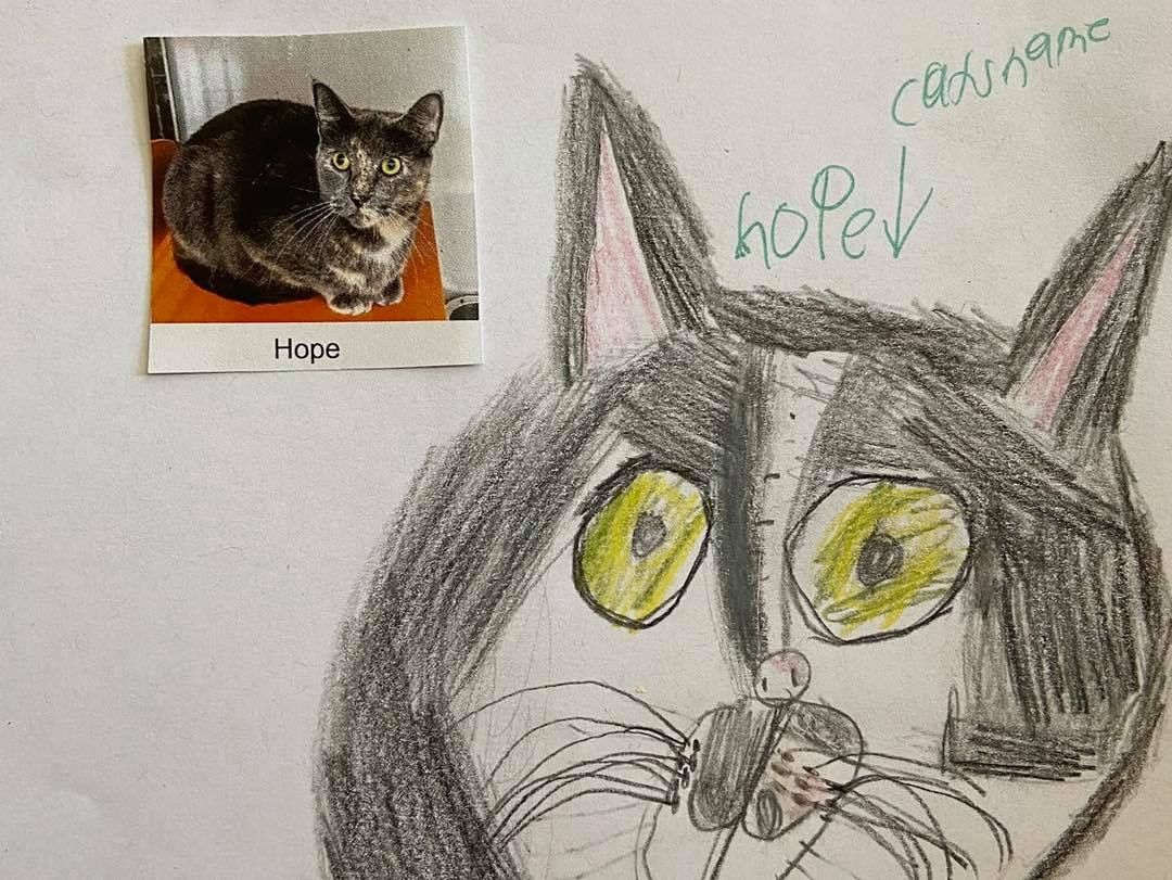 These drawings were by Ms Lakatos’ class at Hayes Elementary in Livonia! They also received credit towards the Michigan Green School Initiative for helping animals in need. Thank you kids! We have some great portraits here! 

More to come!