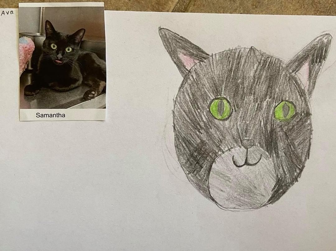 These drawings were by Ms Lakatos’ class at Hayes Elementary in Livonia! They also received credit towards the Michigan Green School Initiative for helping animals in need. Thank you kids! We have some great portraits here! 

More to come!