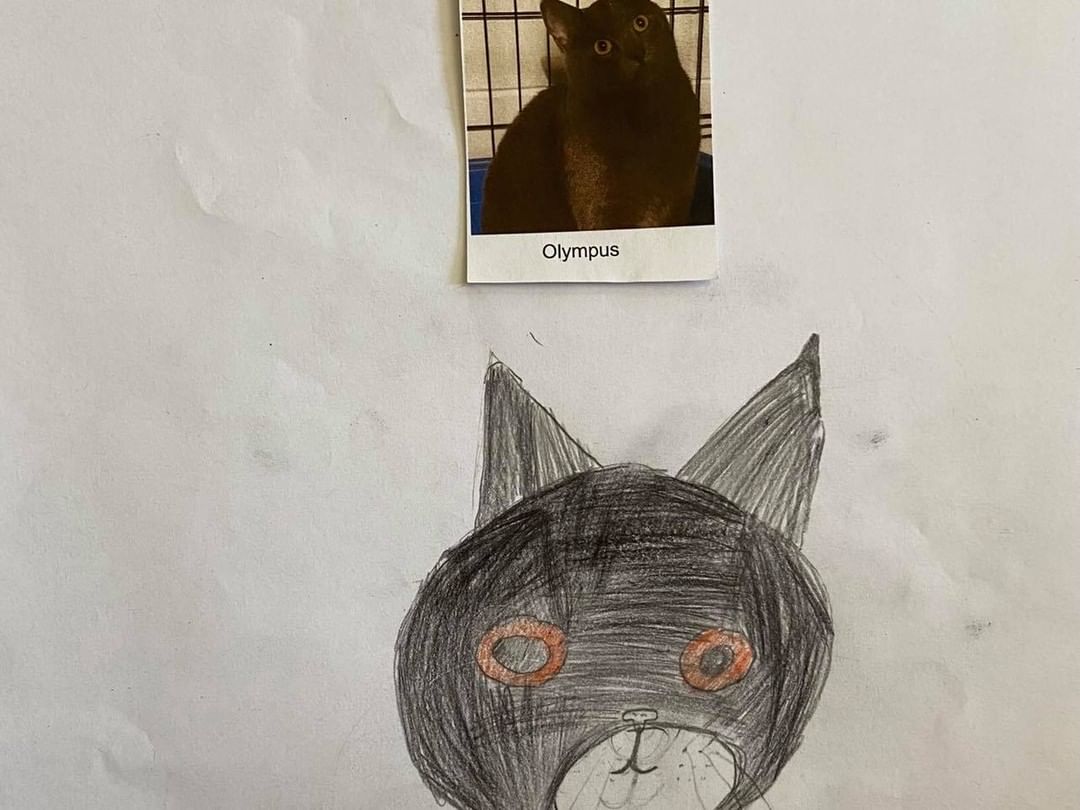 These drawings were by Ms Lakatos’ class at Hayes Elementary in Livonia! They also received credit towards the Michigan Green School Initiative for helping animals in need. Thank you kids! We have some great portraits here! 

More to come!