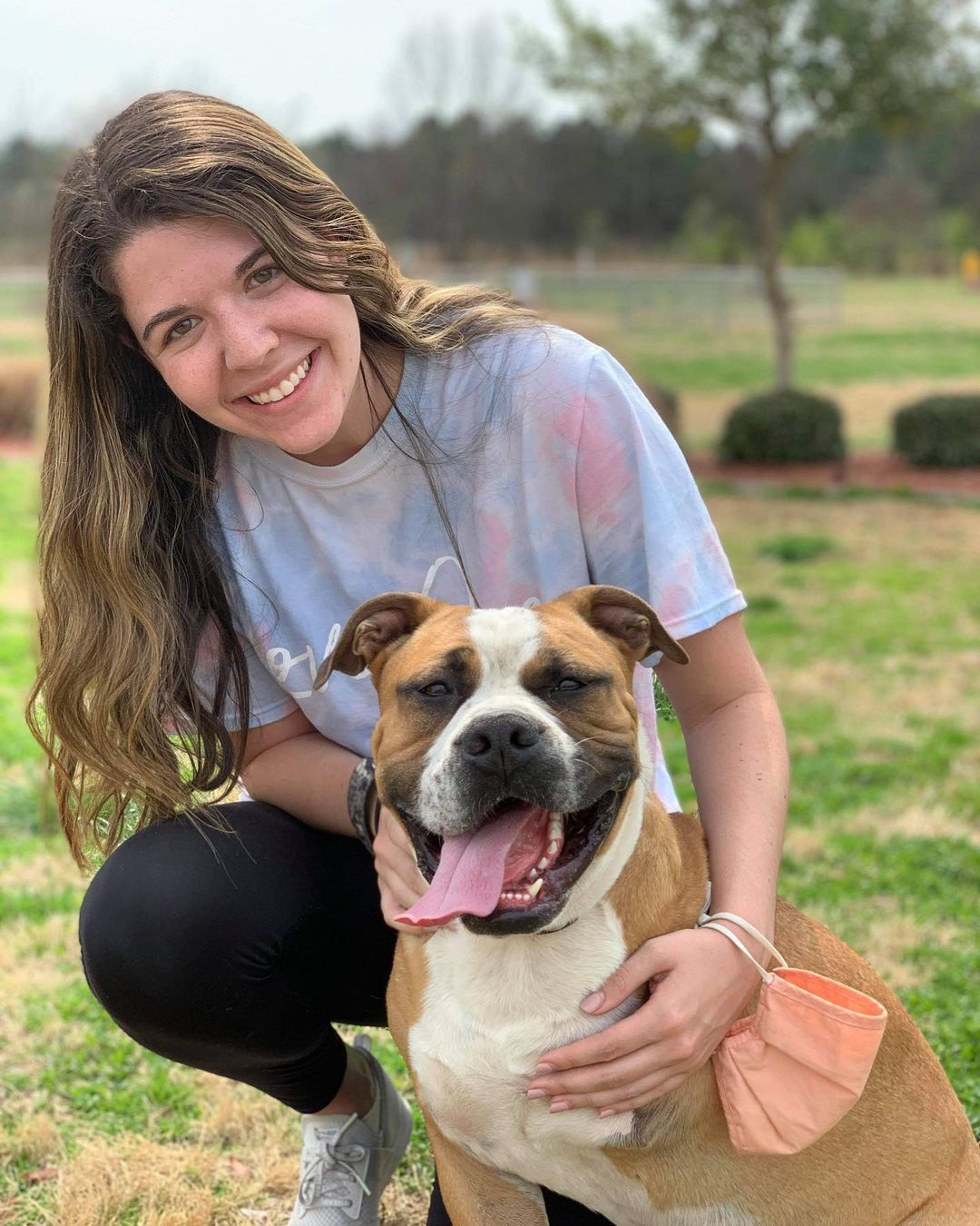 Happy gotcha day to Beans and his perfect person! We are so excited for you two! Have the best life buddy!🥳🥳🥳

<a target='_blank' href='https://www.instagram.com/explore/tags/adoptionsaveslives/'>#adoptionsaveslives</a> <a target='_blank' href='https://www.instagram.com/explore/tags/beanieboi/'>#beanieboi</a> <a target='_blank' href='https://www.instagram.com/explore/tags/boxersofinstagram/'>#boxersofinstagram</a> <a target='_blank' href='https://www.instagram.com/explore/tags/stat/'>#stat</a> <a target='_blank' href='https://www.instagram.com/explore/tags/gotchaday/'>#gotchaday</a>