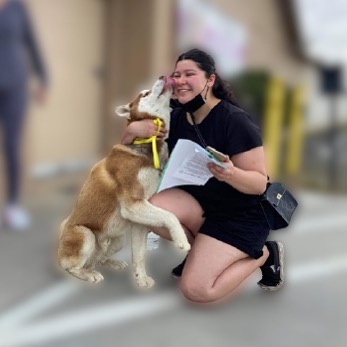 Happy Friday!  This is Canelo.  He is very happy to his family.  Canelo was caught running the streets in the city of Lemoore.  He came to our shelter on 3/5.  His family called today saying he was missing from Visalia and that they were coming to identify him.  It was their dog!  This is why it is very important to bring animals to your local shelter or make a found report with the shelter.  The shelter is the first place people look when they are missing their pet and remember not everyone uses Facebook.  We are very excited Canelo was reunited with his family!