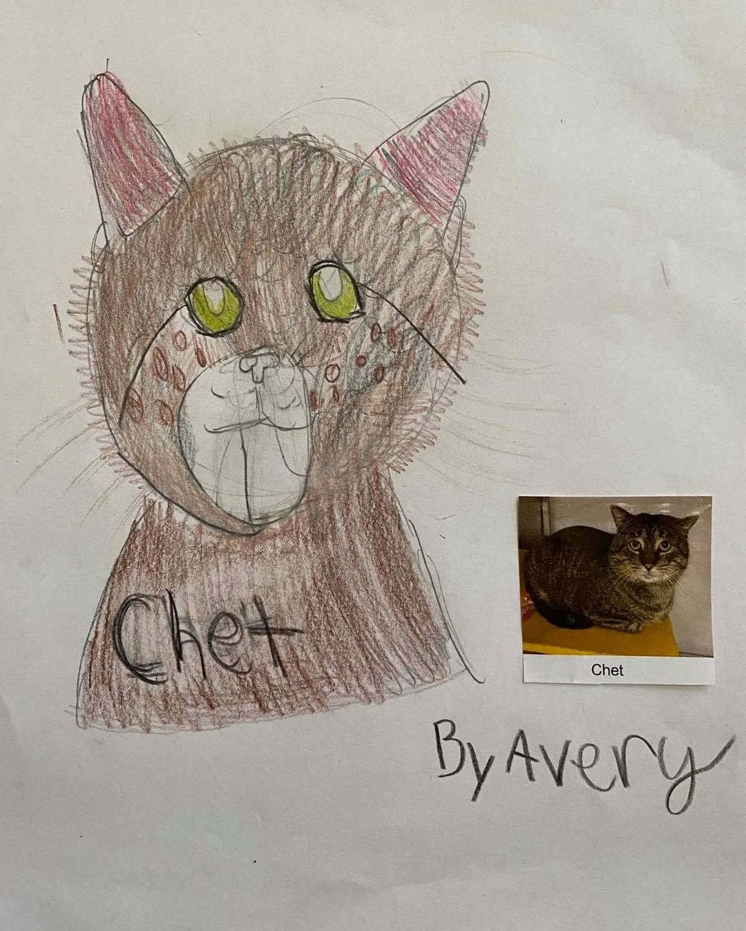 These drawings were by Ms Lakatos’ class at Hayes Elementary in Livonia! They also received credit towards the Michigan Green School Initiative for helping animals in need. Thank you kids! We have some great portraits here!