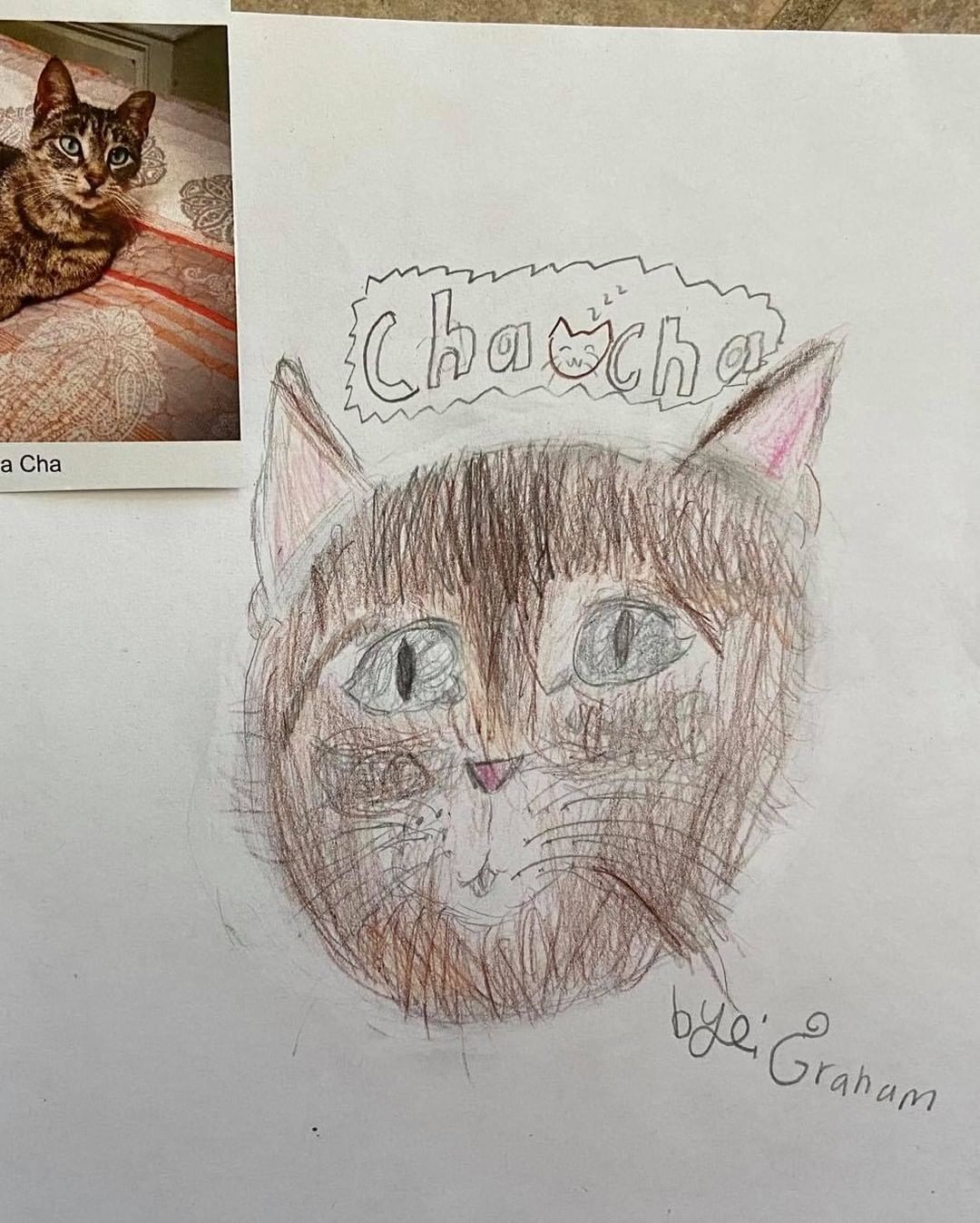 These drawings were by Ms Lakatos’ class at Hayes Elementary in Livonia! They also received credit towards the Michigan Green School Initiative for helping animals in need. Thank you kids! We have some great portraits here!