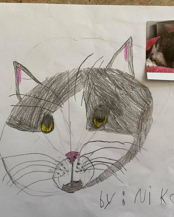 These drawings were by Ms Lakatos’ class at Hayes Elementary in Livonia! They also received credit towards the Michigan Green School Initiative for helping animals in need. Thank you kids! We have some great portraits here!