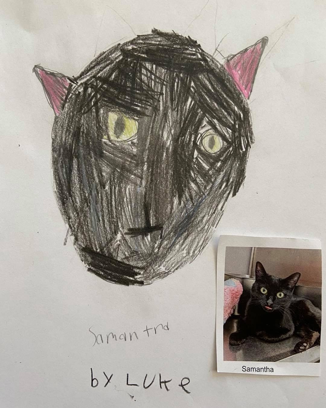 These drawings were by Ms Lakatos’ class at Hayes Elementary in Livonia! They also received credit towards the Michigan Green School Initiative for helping animals in need. Thank you kids! We have some great portraits here!