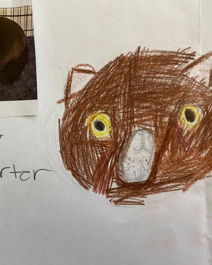 These drawings were by Ms Lakatos’ class at Hayes Elementary in Livonia! They also received credit towards the Michigan Green School Initiative for helping animals in need. Thank you kids! We have some great portraits here!