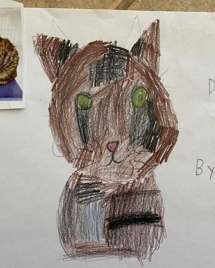 These drawings were by Ms Lakatos’ class at Hayes Elementary in Livonia! They also received credit towards the Michigan Green School Initiative for helping animals in need. Thank you kids! We have some great portraits here!