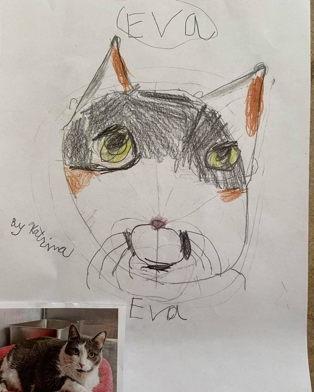 These drawings were by Ms Lakatos’ class at Hayes Elementary in Livonia! They also received credit towards the Michigan Green School Initiative for helping animals in need. Thank you kids! We have some great portraits here!