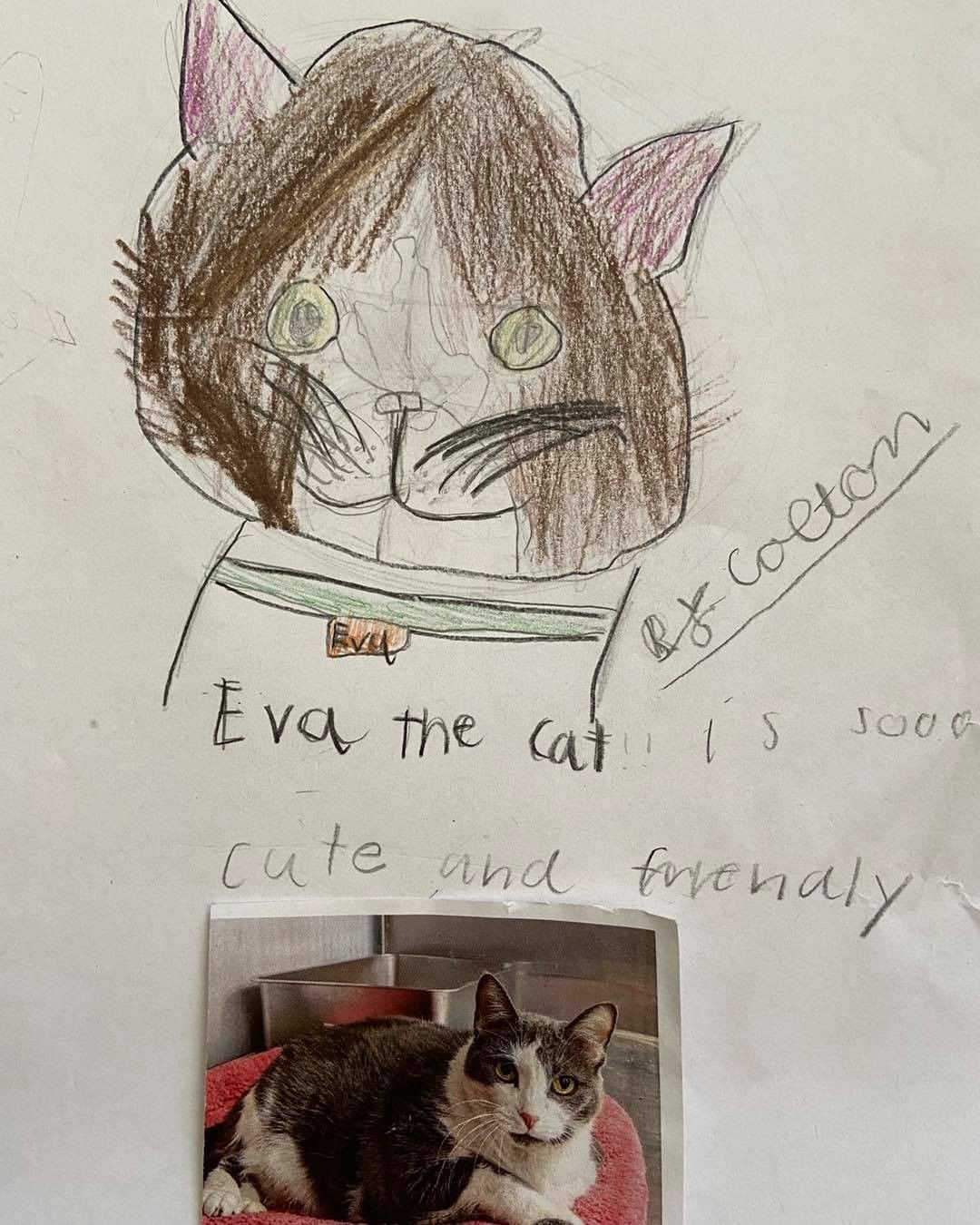 These drawings were by Ms Lakatos’ class at Hayes Elementary in Livonia! They also received credit towards the Michigan Green School Initiative for helping animals in need. Thank you kids! We have some great portraits here!