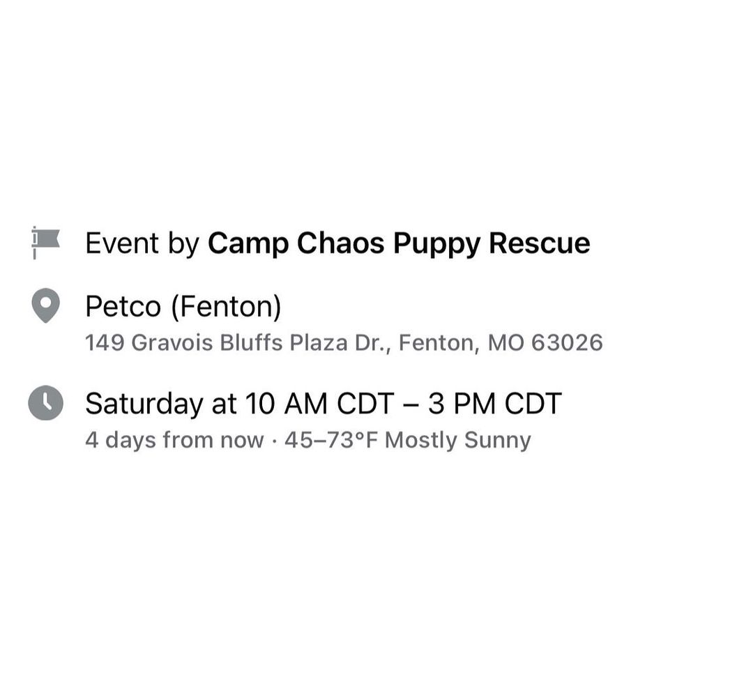 A couple of weeks turned into a year! We are back!🥳
Please be patient with us as we transition back to events! The link to our website is in the bio🔗

🗓 Date: Saturday, March 27, 2021.
📍 Location: Petco in Fenton, MO.
🕚 Time: 10:00am-3:00pm.

 All animals will be spayed/neutered, microchipped, and have age appropriate vaccinations. We only adopt to MO or IL residents.🏠 We do not ship or transport our dogs to other parts of the country.🚫 If you have any questions feel free to message us on Facebook at Camp Chaos Puppy Rescue or email us at: info@campchaospuppyrescue.org 
Applications can be found on our website at: campchaospuppyrescue.org (link in bio)————————————————————
<a target='_blank' href='https://www.instagram.com/explore/tags/rescuedismyfavoritebreed/'>#rescuedismyfavoritebreed</a> <a target='_blank' href='https://www.instagram.com/explore/tags/dogsofstl/'>#dogsofstl</a> <a target='_blank' href='https://www.instagram.com/explore/tags/dogsofstlouis/'>#dogsofstlouis</a> <a target='_blank' href='https://www.instagram.com/explore/tags/animalrescuestlouis/'>#animalrescuestlouis</a> <a target='_blank' href='https://www.instagram.com/explore/tags/campchaosmissouri/'>#campchaosmissouri</a> <a target='_blank' href='https://www.instagram.com/explore/tags/foreverhomeneeded/'>#foreverhomeneeded</a> <a target='_blank' href='https://www.instagram.com/explore/tags/adoptdontshop/'>#adoptdontshop</a> <a target='_blank' href='https://www.instagram.com/explore/tags/dog/'>#dog</a> <a target='_blank' href='https://www.instagram.com/explore/tags/love/'>#love</a> <a target='_blank' href='https://www.instagram.com/explore/tags/adoption/'>#adoption</a> <a target='_blank' href='https://www.instagram.com/explore/tags/availableforadoption/'>#availableforadoption</a> <a target='_blank' href='https://www.instagram.com/explore/tags/pet/'>#pet</a> <a target='_blank' href='https://www.instagram.com/explore/tags/saintlouis/'>#saintlouis</a>