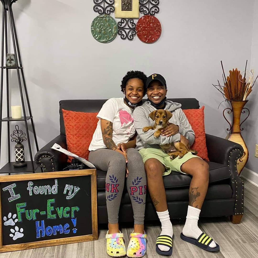 These Hollywood Stars found their Fur-Ever Homes today! We love you all and are so happy for you!! 
<a target='_blank' href='https://www.instagram.com/explore/tags/fureverhomenc/'>#fureverhomenc</a> <a target='_blank' href='https://www.instagram.com/explore/tags/rescueloverepeat/'>#rescueloverepeat</a> <a target='_blank' href='https://www.instagram.com/explore/tags/robesoncountync/'>#robesoncountync</a> <a target='_blank' href='https://www.instagram.com/explore/tags/loveisafourleggedword/'>#loveisafourleggedword</a>🐾 <a target='_blank' href='https://www.instagram.com/explore/tags/rescuedisourfavoritebreed/'>#rescuedisourfavoritebreed</a> <a target='_blank' href='https://www.instagram.com/explore/tags/muttsofinstagram/'>#muttsofinstagram</a> <a target='_blank' href='https://www.instagram.com/explore/tags/welikebigmuttsandwecannotlie/'>#welikebigmuttsandwecannotlie</a>