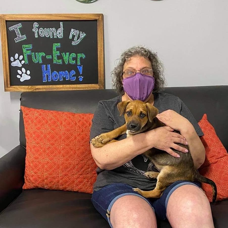 These Hollywood Stars found their Fur-Ever Homes today! We love you all and are so happy for you!! 
<a target='_blank' href='https://www.instagram.com/explore/tags/fureverhomenc/'>#fureverhomenc</a> <a target='_blank' href='https://www.instagram.com/explore/tags/rescueloverepeat/'>#rescueloverepeat</a> <a target='_blank' href='https://www.instagram.com/explore/tags/robesoncountync/'>#robesoncountync</a> <a target='_blank' href='https://www.instagram.com/explore/tags/loveisafourleggedword/'>#loveisafourleggedword</a>🐾 <a target='_blank' href='https://www.instagram.com/explore/tags/rescuedisourfavoritebreed/'>#rescuedisourfavoritebreed</a> <a target='_blank' href='https://www.instagram.com/explore/tags/muttsofinstagram/'>#muttsofinstagram</a> <a target='_blank' href='https://www.instagram.com/explore/tags/welikebigmuttsandwecannotlie/'>#welikebigmuttsandwecannotlie</a>