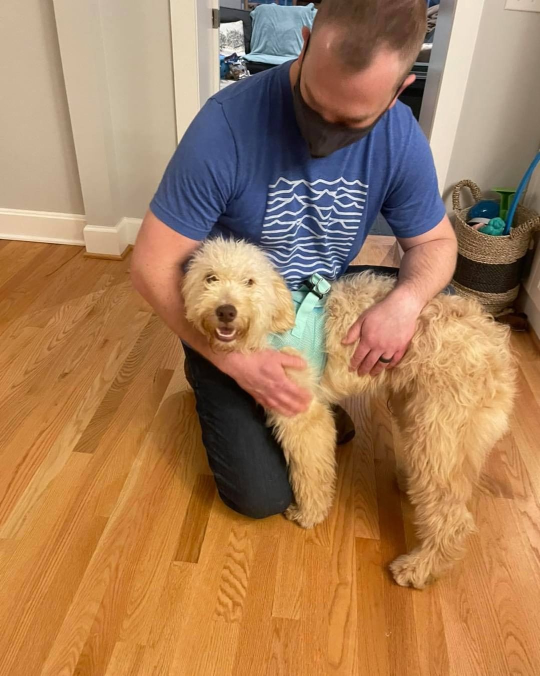 Fozzie meeting his foster parents and his sweet fur brother Hoover! ❤️