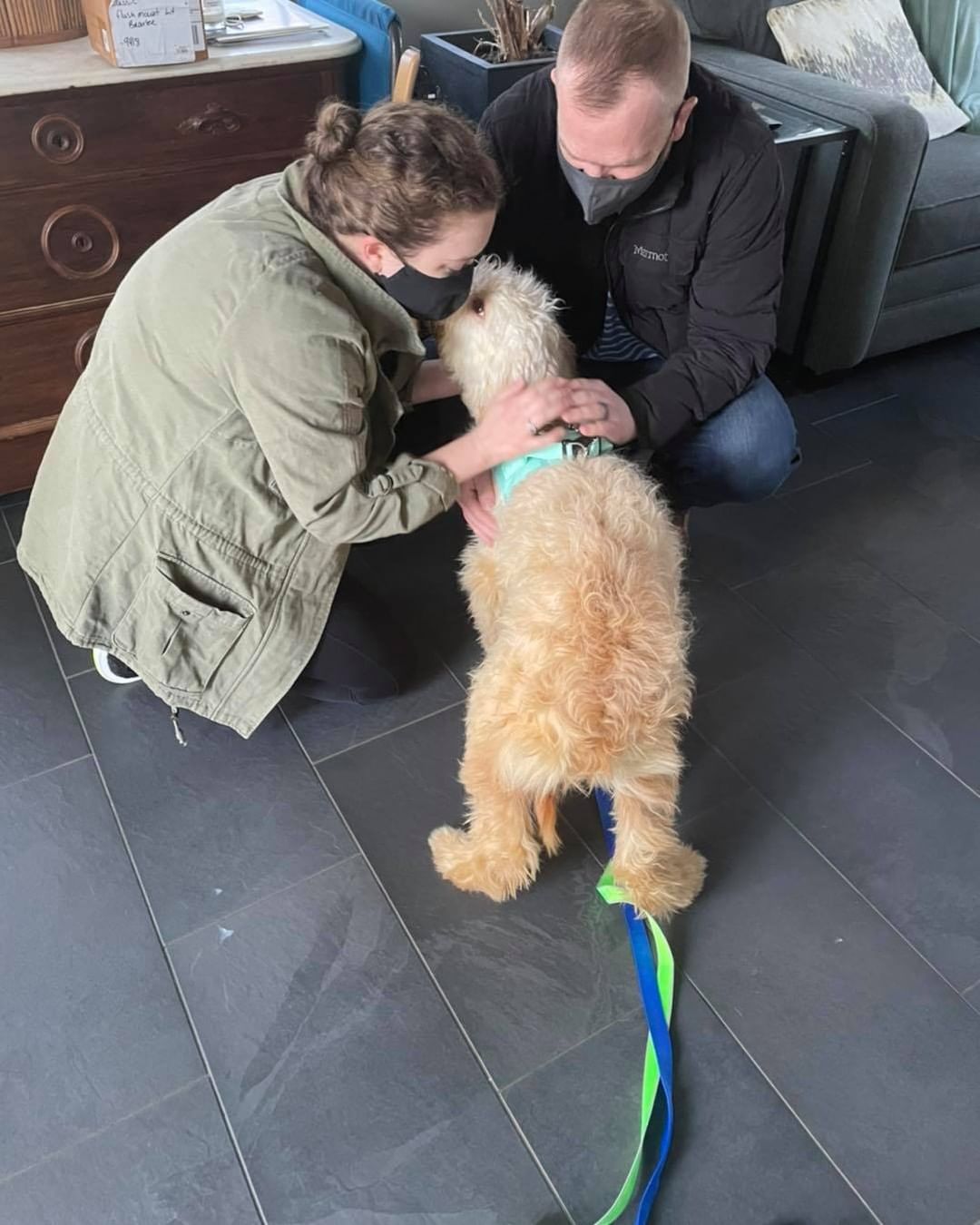 Fozzie meeting his foster parents and his sweet fur brother Hoover! ❤️