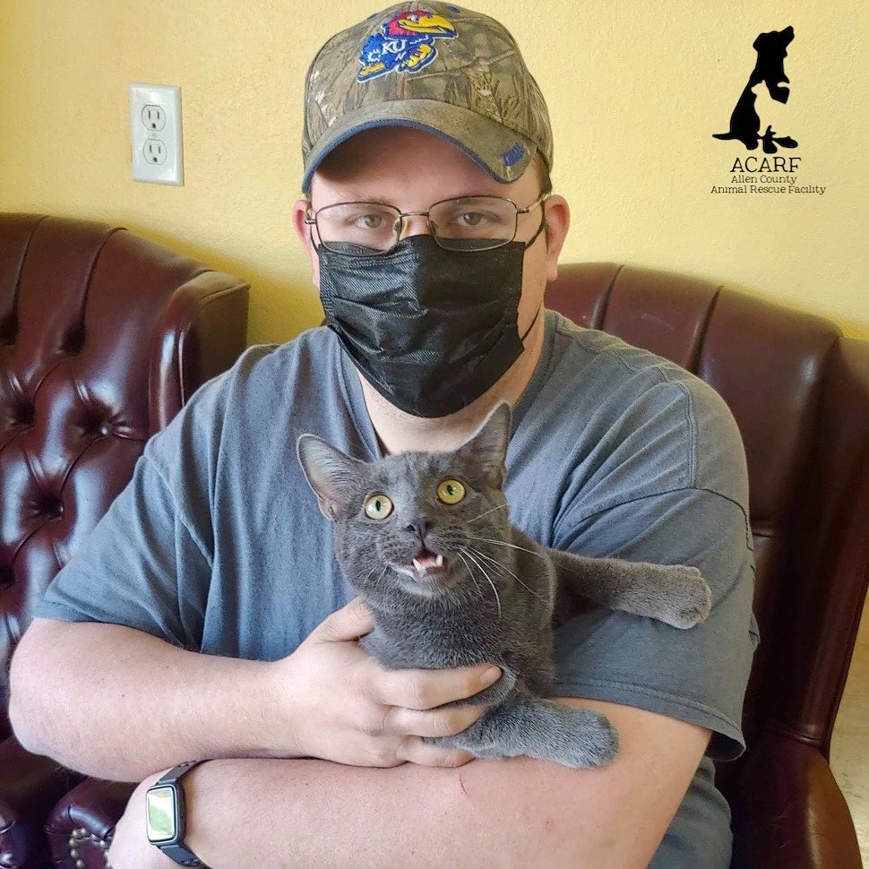 Marlin had a lot to say about getting adopted!
Happy Forever to this gorgeous gray guy and his new Favorite Person Ever!🥳
(Extra happy:  Marlin will have a buddy cat when he gets to his new home; Ian was also adopted from ACARF!!)
<a target='_blank' href='https://www.instagram.com/explore/tags/acarf/'>#acarf</a> <a target='_blank' href='https://www.instagram.com/explore/tags/adoptagraykittty/'>#adoptagraykittty</a> <a target='_blank' href='https://www.instagram.com/explore/tags/twocats/'>#twocats</a> <a target='_blank' href='https://www.instagram.com/explore/tags/welovethemwhiletheywaitforyou/'>#welovethemwhiletheywaitforyou</a>