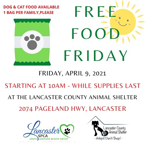 Free food Friday is back! Friday,April 9 at 10AM!