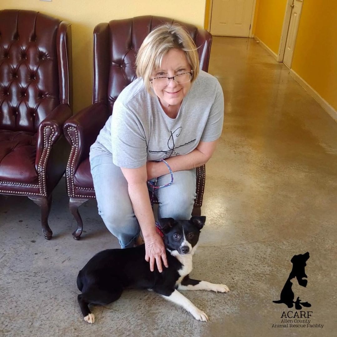 ACARF’s affectionate sweetheart Harper found the loving home she was waiting for!
Yay for Harper and her new Mom!!🥳