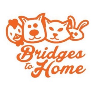 ATTENTION ALBUQUERQUE AREA!  Would YOU like to be a part of an organization that rescues animals? We would LOVE to invite you to become a foster! Bridges to Home in Albuquerque is a foster-based rescue, looking for puppy/dog and kitten/cat fosters willing to provide a loving and nurturing environment for those animals we rescue. If you are interested, please click on the link below to fill out an application. We thank you, and the rescued animals most certainly do!  Link in our bio.  https://petstablished.com/foster_form/26030/generic  <a target='_blank' href='https://www.instagram.com/explore/tags/beafosterangel/'>#beafosterangel</a> <a target='_blank' href='https://www.instagram.com/explore/tags/fosteringsaveslives/'>#fosteringsaveslives</a> <a target='_blank' href='https://www.instagram.com/explore/tags/fostertoforever/'>#fostertoforever</a> <a target='_blank' href='https://www.instagram.com/explore/tags/fosterjourney/'>#fosterjourney</a> <a target='_blank' href='https://www.instagram.com/explore/tags/spayandneutersaveslives/'>#spayandneutersaveslives</a> <a target='_blank' href='https://www.instagram.com/explore/tags/bridgestohomenm/'>#bridgestohomenm</a> <a target='_blank' href='https://www.instagram.com/explore/tags/weneedyou/'>#weneedyou</a>