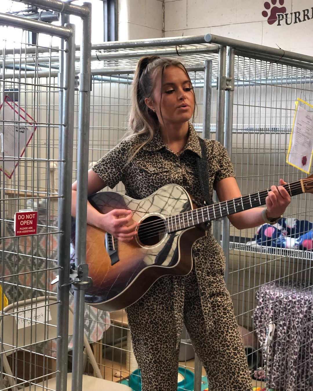 We were visited by our friend @dariannleigh yesterday for an in shelter concert for our sweet pets and needless to say, she has some new furry fans!😹
HUGE thank you to Dariann for taking the time to bring a little music to the Circle of Friends! ❤️🐾