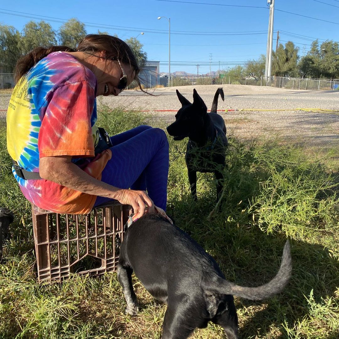 Hanging out on ‘the ranch’ with the dogs! Volunteers ROCK & make all of this possible. ❤️🙏🏼🥰