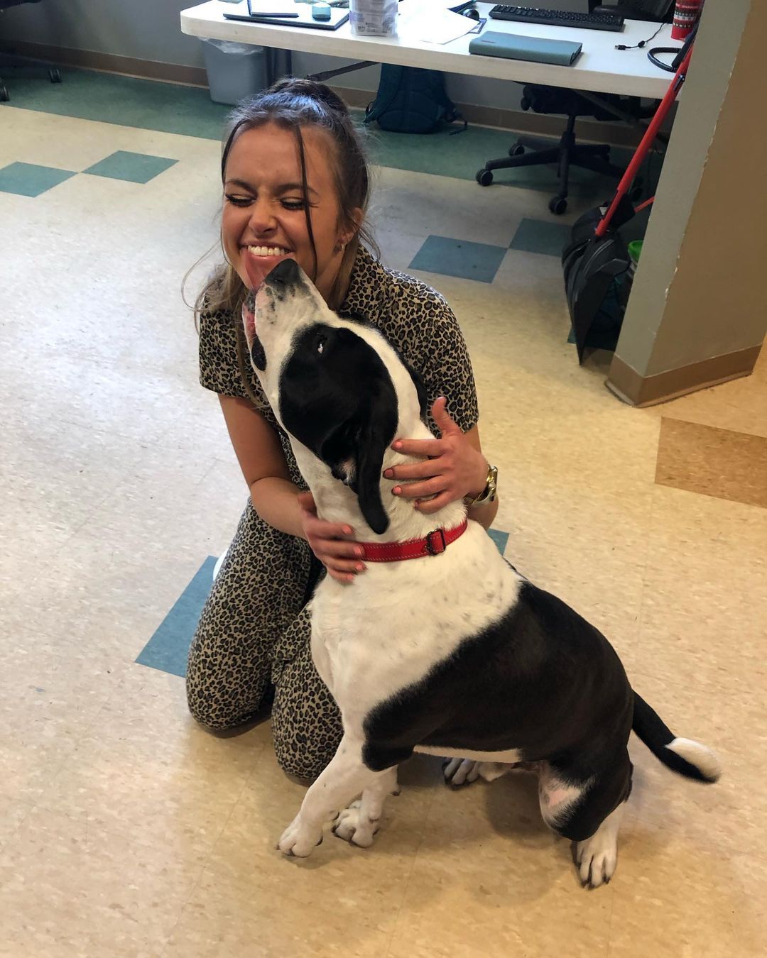 We were visited by our friend @dariannleigh yesterday for an in shelter concert for our sweet pets and needless to say, she has some new furry fans!😹
HUGE thank you to Dariann for taking the time to bring a little music to the Circle of Friends! ❤️🐾