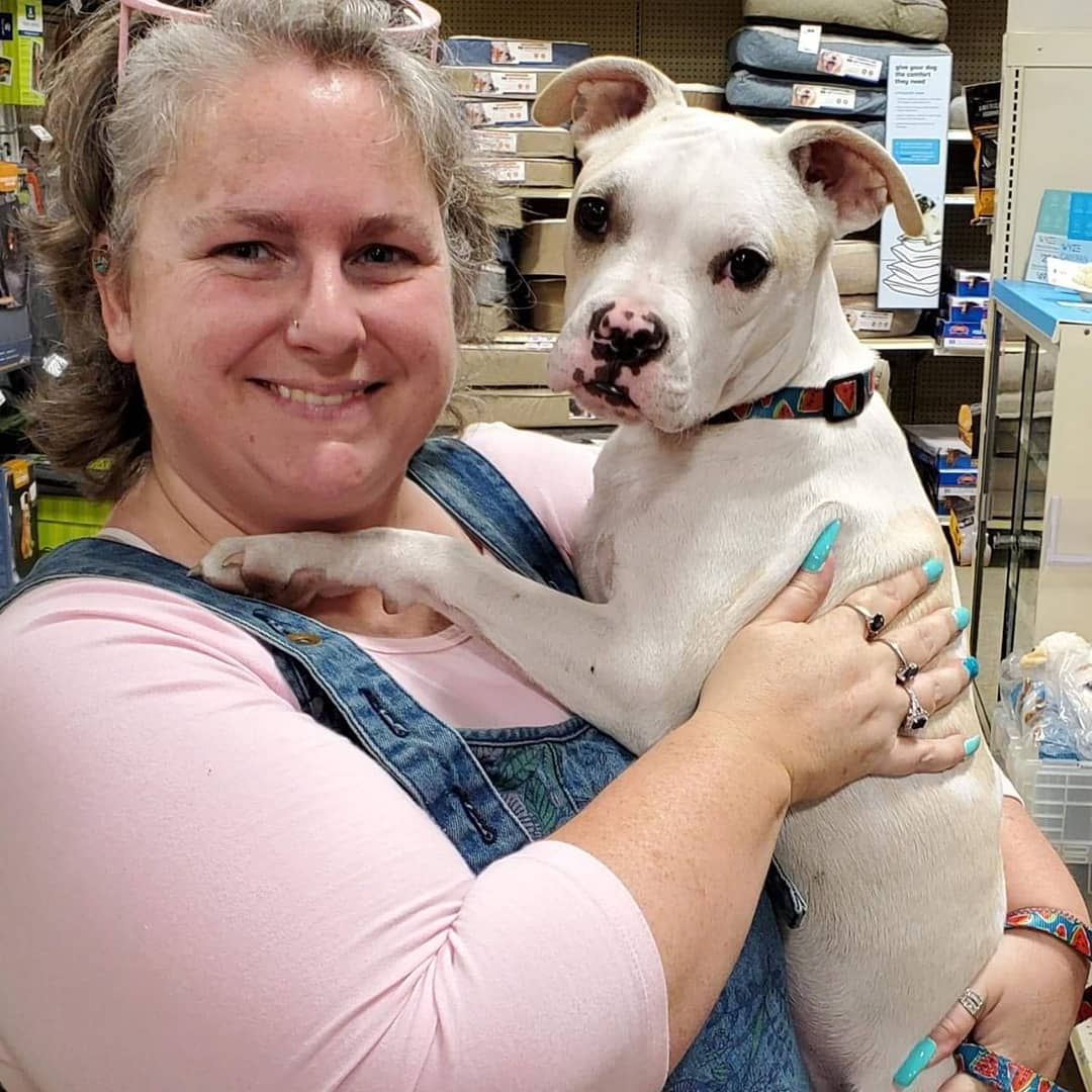 Who remembers our sweet Norie?
This little gal had a hard time medically at such a young age but with the help of everyone’s donations and support, she has been cleared!  Her foster, who cared for her during her difficult times, has now made her a permanent part of her family! She will now be able to continue being the spoiled baby of the house! Congrats little one!

<a target='_blank' href='https://www.instagram.com/explore/tags/fosterfail/'>#fosterfail</a>, <a target='_blank' href='https://www.instagram.com/explore/tags/puppiesofinstagram/'>#puppiesofinstagram</a>, <a target='_blank' href='https://www.instagram.com/explore/tags/adoptdontshop/'>#adoptdontshop</a>, <a target='_blank' href='https://www.instagram.com/explore/tags/rescuesrock/'>#rescuesrock</a>, <a target='_blank' href='https://www.instagram.com/explore/tags/spoiled/'>#spoiled</a>
