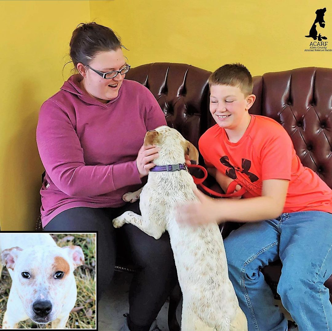 ADOPTION:  PART 1!

Our very sweet and loving pup Amelia was beside herself to get adopted by this wonderful family!  She simply would not turn away from them for their adoption photo.  Which is a very happy adoption photo, indeed!

BUT…that’s not all that happened with her family!! Stay tuned…
<a target='_blank' href='https://www.instagram.com/explore/tags/acarf/'>#acarf</a> <a target='_blank' href='https://www.instagram.com/explore/tags/moretothestory/'>#moretothestory</a> <a target='_blank' href='https://www.instagram.com/explore/tags/ameliaandco/'>#ameliaandco</a> <a target='_blank' href='https://www.instagram.com/explore/tags/welovethemwhiletheywaitforyou/'>#welovethemwhiletheywaitforyou</a>