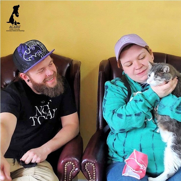 ❤️A HEARTWARMING ADOPTION❤️
We are always joyful when adopters are able see past an animal’s age or handicap and recognize the beautiful soul within.

Sweet cat Missy lost an eye due to an injury, but her loving spirit touched these wonderful people and they made her part of their family. 

Happy Forever to beautiful Missy and her awesome adopters!!
<a target='_blank' href='https://www.instagram.com/explore/tags/acarf/'>#acarf</a> <a target='_blank' href='https://www.instagram.com/explore/tags/beautywithin/'>#beautywithin</a> <a target='_blank' href='https://www.instagram.com/explore/tags/adoptalessadoptablepet/'>#adoptalessadoptablepet</a> <a target='_blank' href='https://www.instagram.com/explore/tags/welovethemwhiletheywaitforyou/'>#welovethemwhiletheywaitforyou</a>