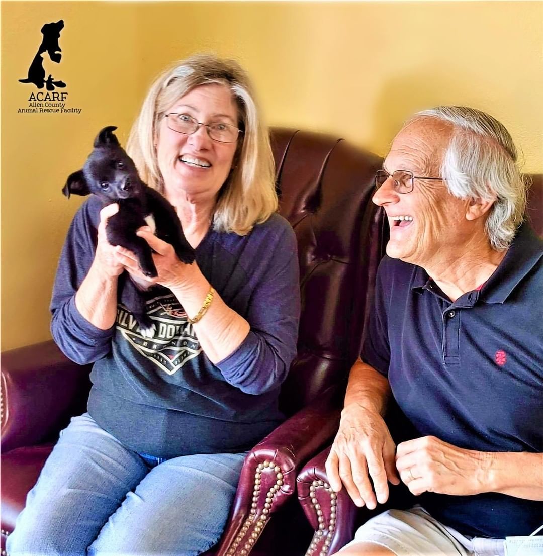 ACARF's adorable baby girl Natasha found an AMAZING home!  Her new name is going to be...brace yourselves, ya'll....
💗PEAPOD💗. 
Some of you might know that PeaPod is the name of famed artist/teacher/zenmaster Bob Ross's pet squirrel.
We are beside ourselves with happiness!
<a target='_blank' href='https://www.instagram.com/explore/tags/acarf/'>#acarf</a> <a target='_blank' href='https://www.instagram.com/explore/tags/peapodpup/'>#peapodpup</a> <a target='_blank' href='https://www.instagram.com/explore/tags/adoptashelterpuppy/'>#adoptashelterpuppy</a> <a target='_blank' href='https://www.instagram.com/explore/tags/welovethemwhiletheywaitforyou/'>#welovethemwhiletheywaitforyou</a>