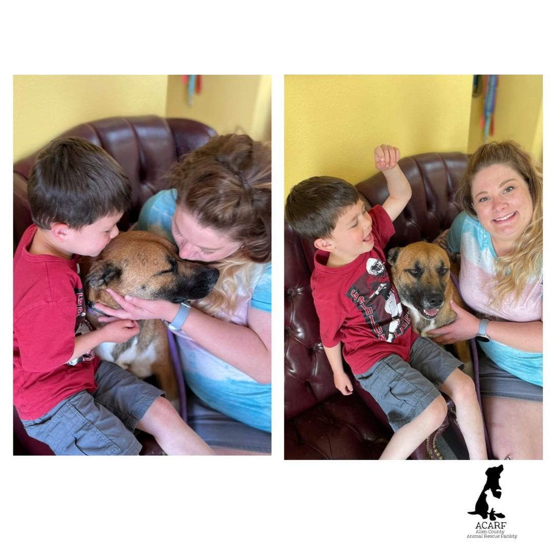Vin was soaking up the love and cuddles from his wonderful new family on adoption day! 

Happy Forever to this great dog and his new people!!
<a target='_blank' href='https://www.instagram.com/explore/tags/acarf/'>#acarf</a> <a target='_blank' href='https://www.instagram.com/explore/tags/adoptashelterdog/'>#adoptashelterdog</a> <a target='_blank' href='https://www.instagram.com/explore/tags/vinforthewin/'>#vinforthewin</a> <a target='_blank' href='https://www.instagram.com/explore/tags/welovethemwhiletheywaitforyou/'>#welovethemwhiletheywaitforyou</a>