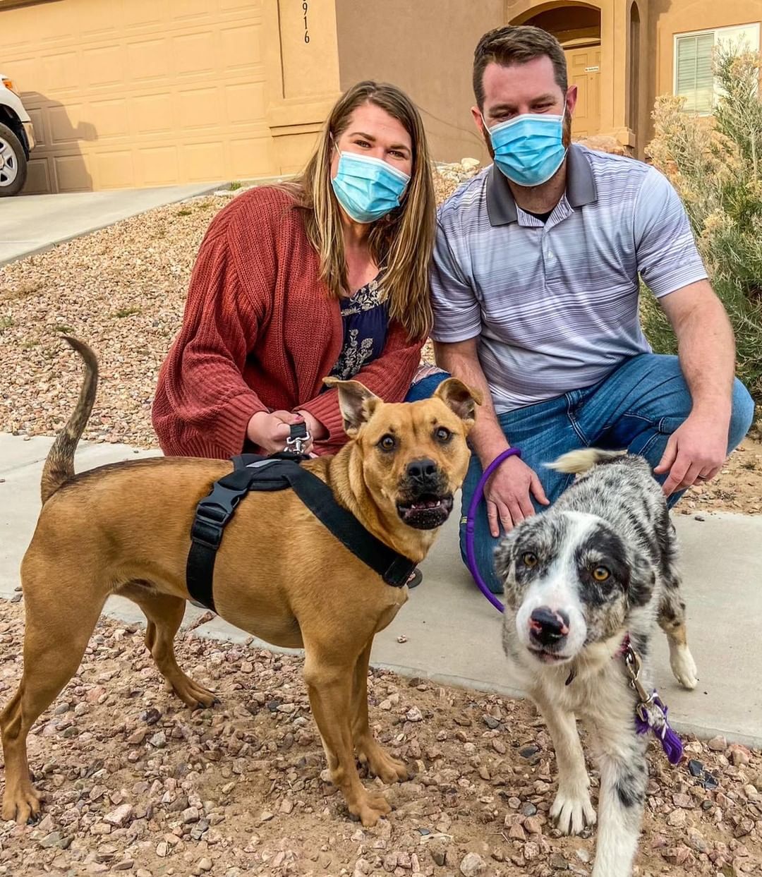 Miss Iris came to us after being dumped with her whole family in a small shelter’s overnight kennels. 

We were able to help half of the family, and the other half went to rescue in Colorado. They’re all living their best lives now. 

Iris was able to come to Albuquerque thanks to her amazing foster family (thank you Meghann and Matt!!!). We are *always* in need of more foster families- if you’d like to help us save lives, please visit www.viva-nm.org and fill out a Foster application! 

Miss Iris found her forever family, and we think it’s safe to say it was basically love at first sight. Thank you for loving this girl as much as we all do, and welcome home Iris! ❤️❤️❤️