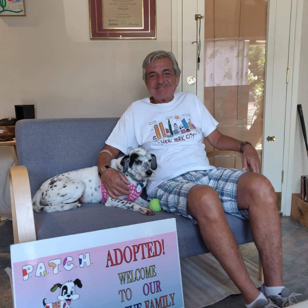 Still keep fingers, toes, arms, legs, paws, etc...crossed but Darcy liked dad & dad LOVES Darcy!

Hoping this is furever!

If we get NO other adoption this year, made 2021 the BEST year EVER!

03/05/2017 to 05/02/2021