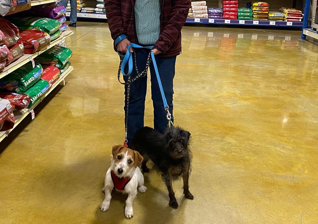 Congratulations to our deserving dogs and their wonderful families who adopted in April! <a target='_blank' href='https://www.instagram.com/explore/tags/luv4k9s/'>#luv4k9s</a> <a target='_blank' href='https://www.instagram.com/explore/tags/adoptdontshop/'>#adoptdontshop</a> <a target='_blank' href='https://www.instagram.com/explore/tags/welovedogs/'>#welovedogs</a>