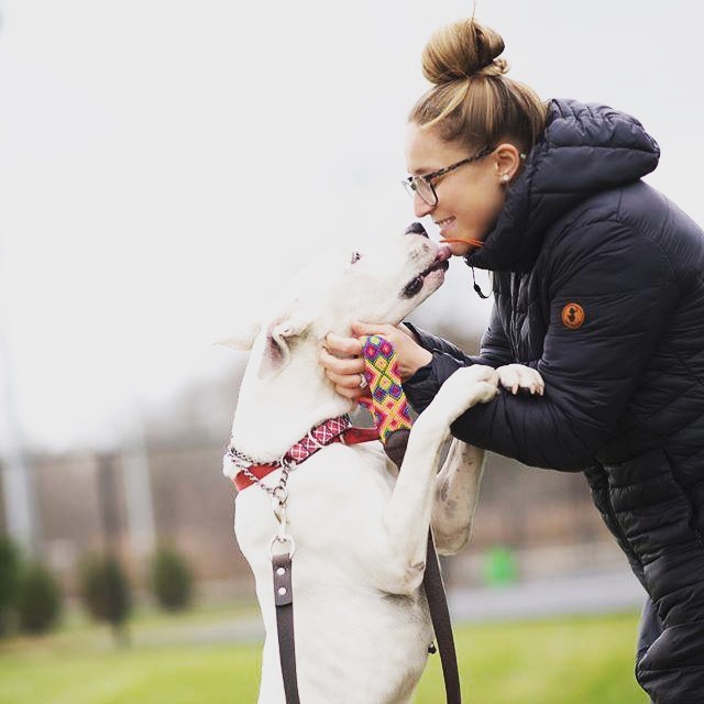 Happy birthday to our director of adoptions, Ivy ❤️🤍💙