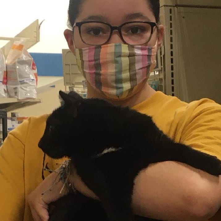 What a perfect day for Misu to get a new Mom. Besides a great new family, Misu will have a new kitty sibling too. Jackpot <a target='_blank' href='https://www.instagram.com/explore/tags/adoption/'>#adoption</a> !
<a target='_blank' href='https://www.instagram.com/explore/tags/happygotchaday/'>#happygotchaday</a> <a target='_blank' href='https://www.instagram.com/explore/tags/adoptasheltercat/'>#adoptasheltercat</a> <a target='_blank' href='https://www.instagram.com/explore/tags/trentoncatsrescue/'>#trentoncatsrescue</a> <a target='_blank' href='https://www.instagram.com/explore/tags/blackcatsofinstagram/'>#blackcatsofinstagram</a> <a target='_blank' href='https://www.instagram.com/explore/tags/adoptdontshop/'>#adoptdontshop</a> <a target='_blank' href='https://www.instagram.com/explore/tags/rescuedismyfavoritebreed/'>#rescuedismyfavoritebreed</a>