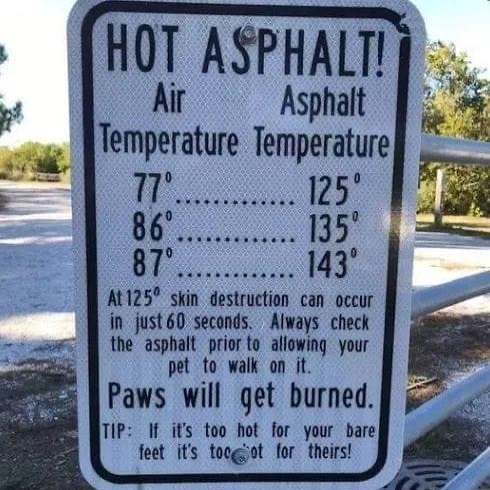 The heat is on! Watch out for your doggos!
<a target='_blank' href='https://www.instagram.com/explore/tags/heartsofgold/'>#heartsofgold</a> <a target='_blank' href='https://www.instagram.com/explore/tags/pitbullrescue/'>#pitbullrescue</a> <a target='_blank' href='https://www.instagram.com/explore/tags/memphis/'>#memphis</a> <a target='_blank' href='https://www.instagram.com/explore/tags/memphispitbullrescue/'>#memphispitbullrescue</a> <a target='_blank' href='https://www.instagram.com/explore/tags/memphispets/'>#memphispets</a> <a target='_blank' href='https://www.instagram.com/explore/tags/memphispits/'>#memphispits</a> <a target='_blank' href='https://www.instagram.com/explore/tags/adoptsontshop/'>#adoptsontshop</a> <a target='_blank' href='https://www.instagram.com/explore/tags/dontbullymybreed/'>#dontbullymybreed</a>
