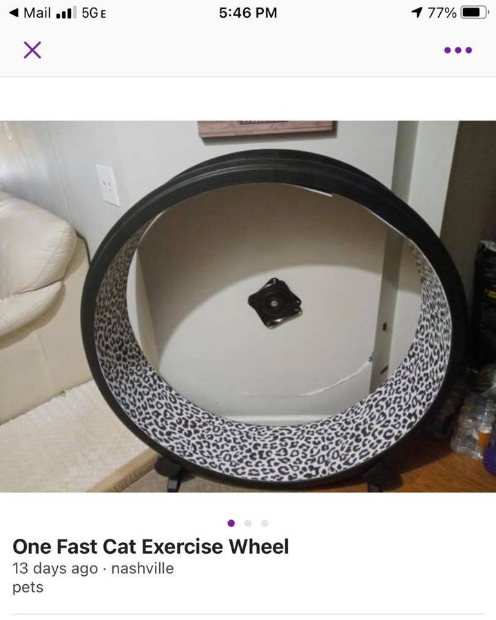 ꧁★ FUNDRAISING REQUEST! ★꧂

Freddie’s has the chance to get this brand new running wheel for the common area at a VERY good deal! Our goal has always been to add one to increase exercise, but they’re normally so expensive that it seemed like a distant wish. The lady is a Vet Tech up in Nashville and is holding this for us until we get the $200 raised, which is super awesome!!! Please help make this a reality for our small space!

As always, Freddie’s is a GA licensed 501(c)3 nonprofit and every single rescue, medical case, or bit of construction is funded solely from small donations and our own personal pockets. While we do have the advantage of also being their veterinary team and thus saving some overhead, there are still costs for supplies, drugsQ, sterile tools and products, fluids, hospitalization, etc. Plus the usual food, litter, toys, blankets, cleaning supplies, etc. of a rescue. 

All donations submitted automatically provide a receipt for tax purposes.

If you can spare even $10, it goes a VERY long way toward our goal!

http://www.paypal.me/freddiesfelines

https://www.paypal.com/biz/fund?id=ACZSG7JXDSZTW

(You do NOT need a PayPal account — any credit or debit card can be used via PayPal’s secure checkout. ♥️)

https://venmo.com/code?user_id=3280097628913664740

Venmo: @FreddiesFelines