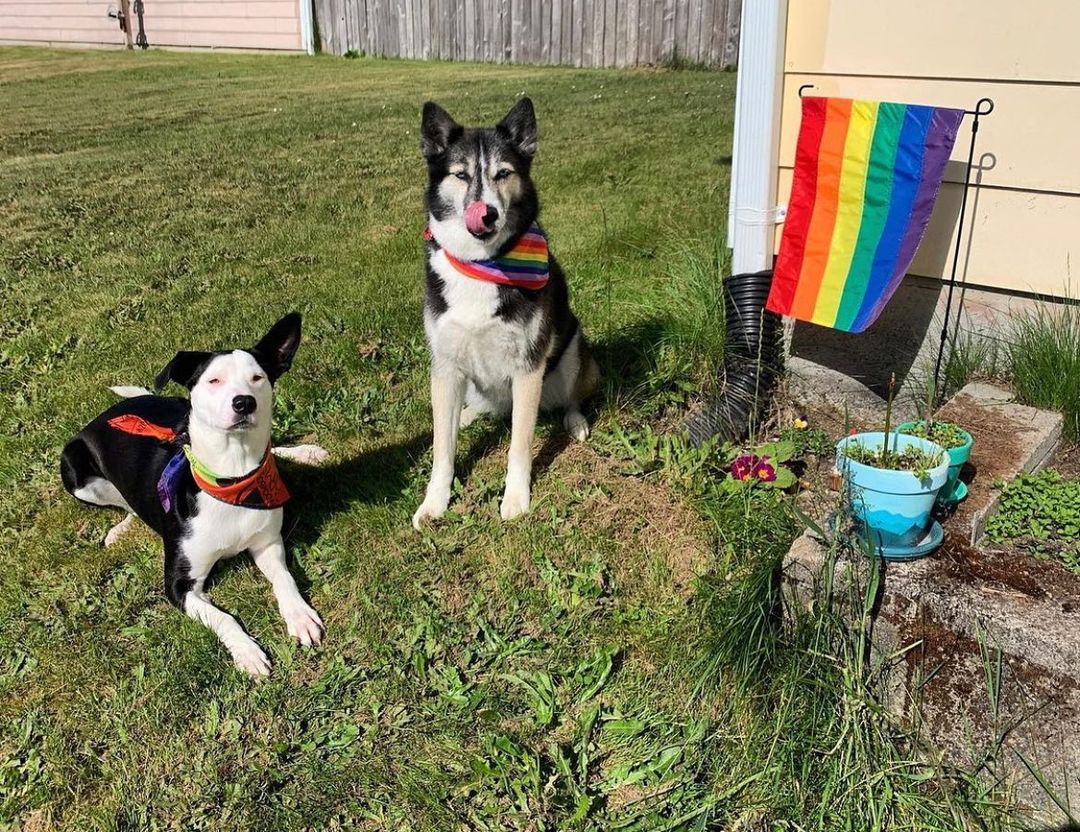 Happy PRIDE month from CSR alum Charlie & her sis Belle ❤️🧡💛💚💙💜🤍💗🤎🖤✌🏼🌈
<a target='_blank' href='https://www.instagram.com/explore/tags/weareallequal/'>#weareallequal</a> <a target='_blank' href='https://www.instagram.com/explore/tags/pride/'>#pride</a>