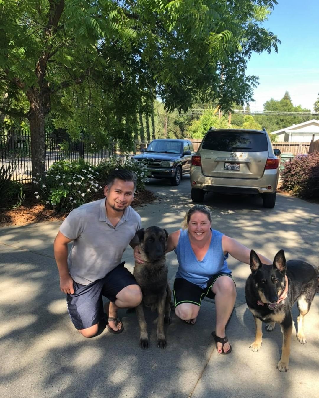 4 year old Malinois/GSD boy Bourbon (originally Zubin) has been adopted.  Pictured with 10 year old alum Lindy.  They all look happy. We love our prior adopters. Congratulations!