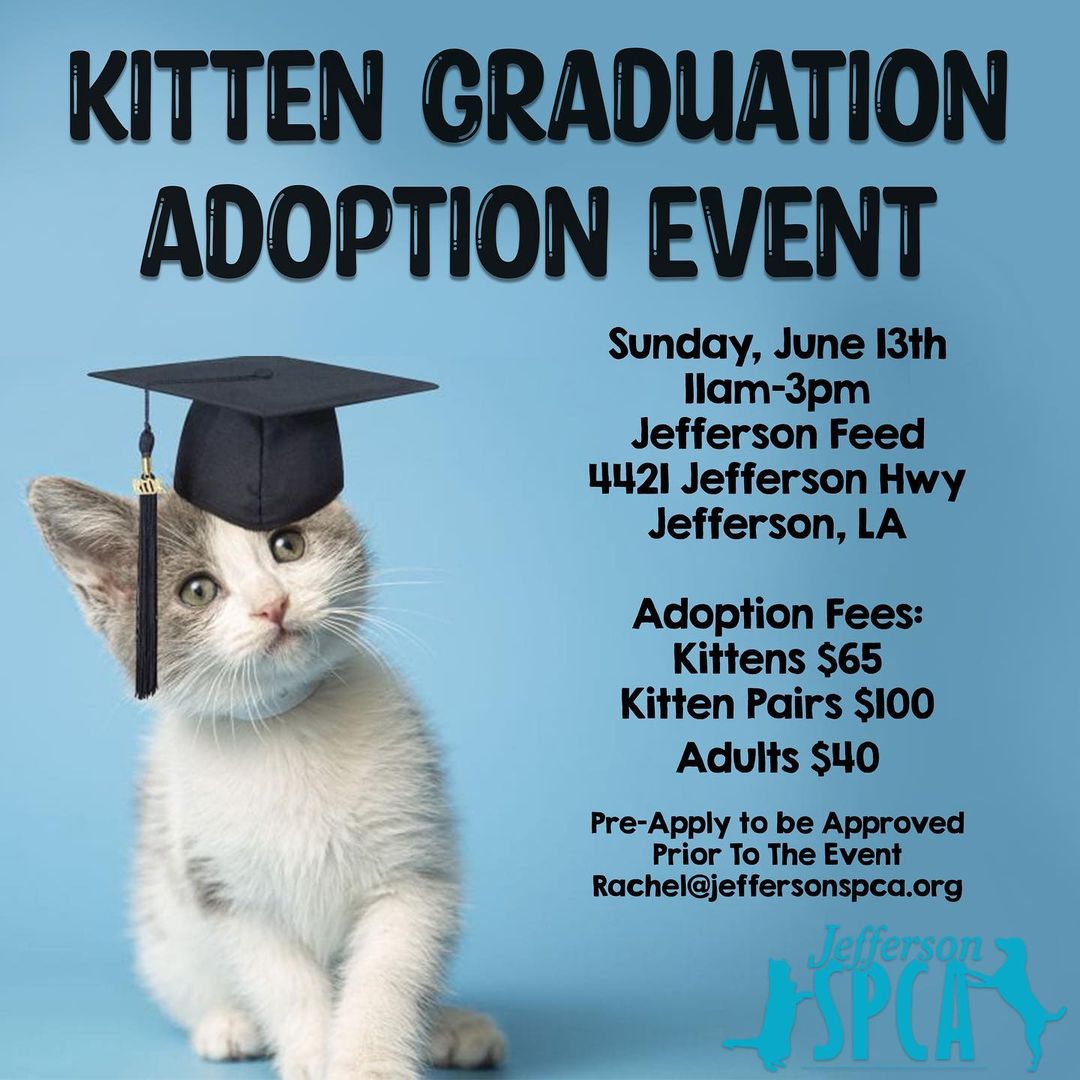 We are having a KITTEN ADOPTION EVENT! Most of our 42 kittens are ready to find their forever homes! We’ll create an event and post pictures of our available kittens. We will also setup a form to pre-apply so your app can be approved before Sunday!