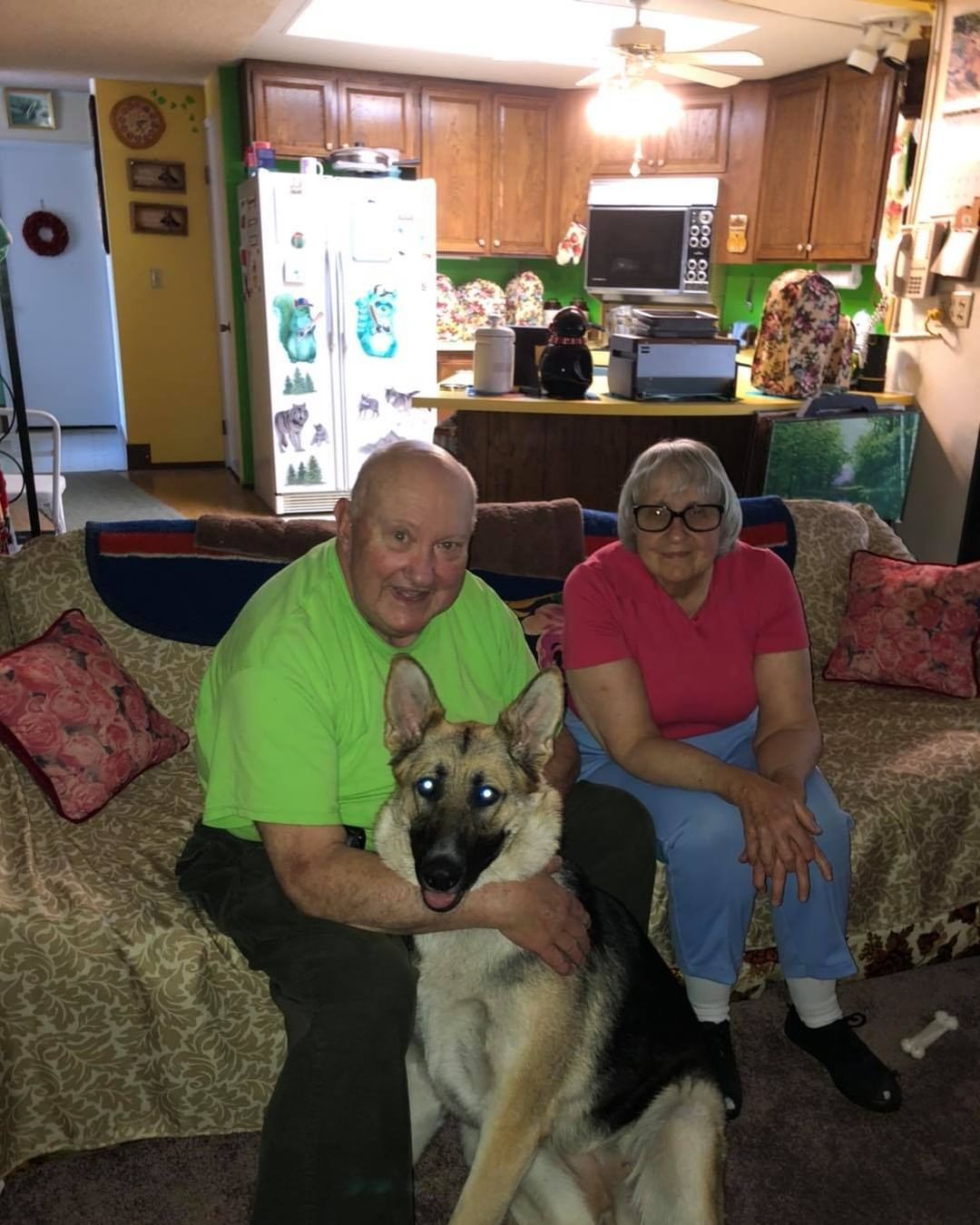 Kammie, now Cambi, has finalized her adoption.  Owners have had only German Shepherds for over 40 years and love telling stories of the many dogs they’ve had over the years.  Cambi will be enrolled in obedience training soon.  Congratulations!