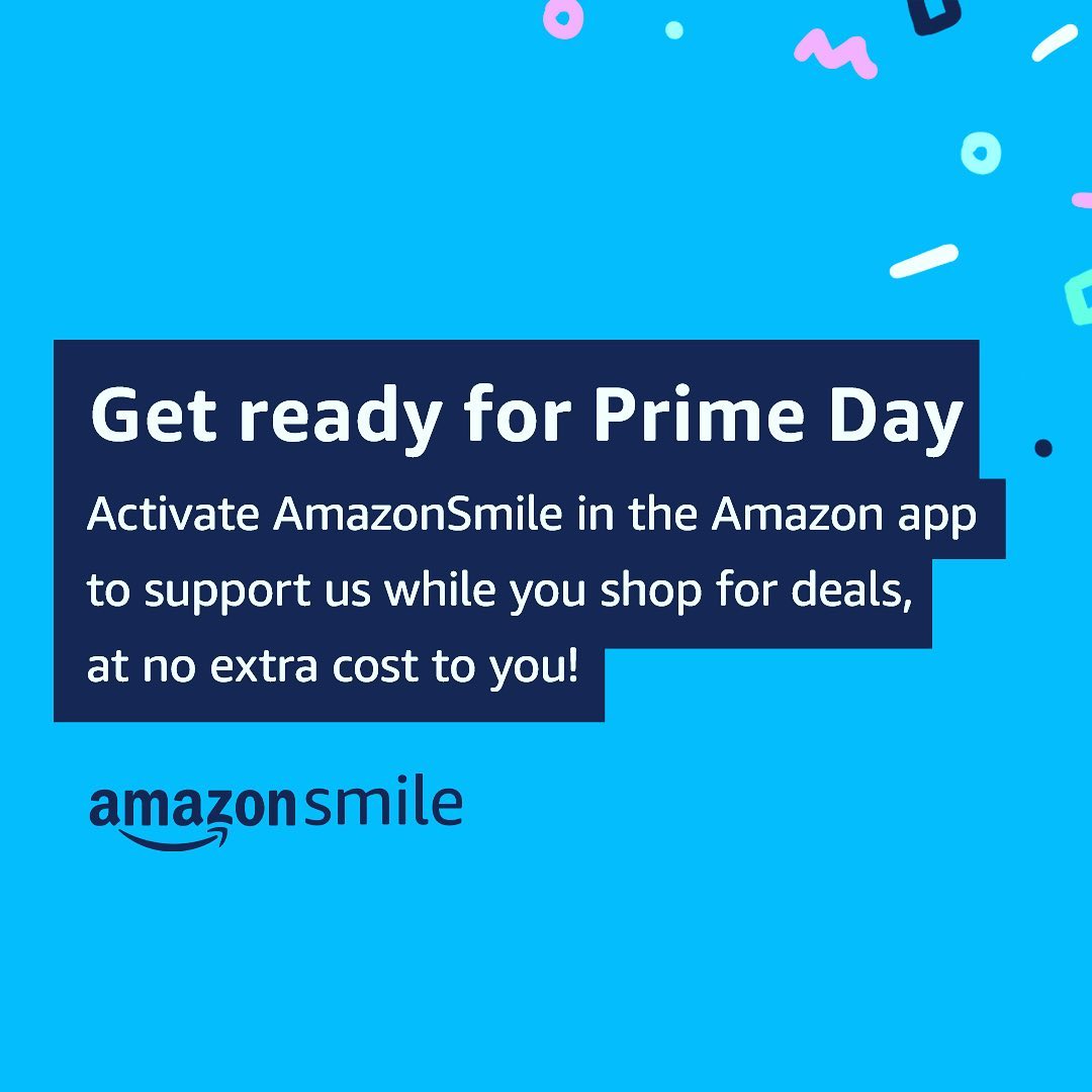 Support TFTR by shopping on Prime Day June 21& 22nd or any day on Amazon Smile. Just select Toy Fox Terrier Rescue as your Amazon Smile Charity Thank you for your continued support <a target='_blank' href='https://www.instagram.com/explore/tags/toyfoxterriers/'>#toyfoxterriers</a> <a target='_blank' href='https://www.instagram.com/explore/tags/toyfoxterriersofinstagram/'>#toyfoxterriersofinstagram</a> ❤️🐾❤️