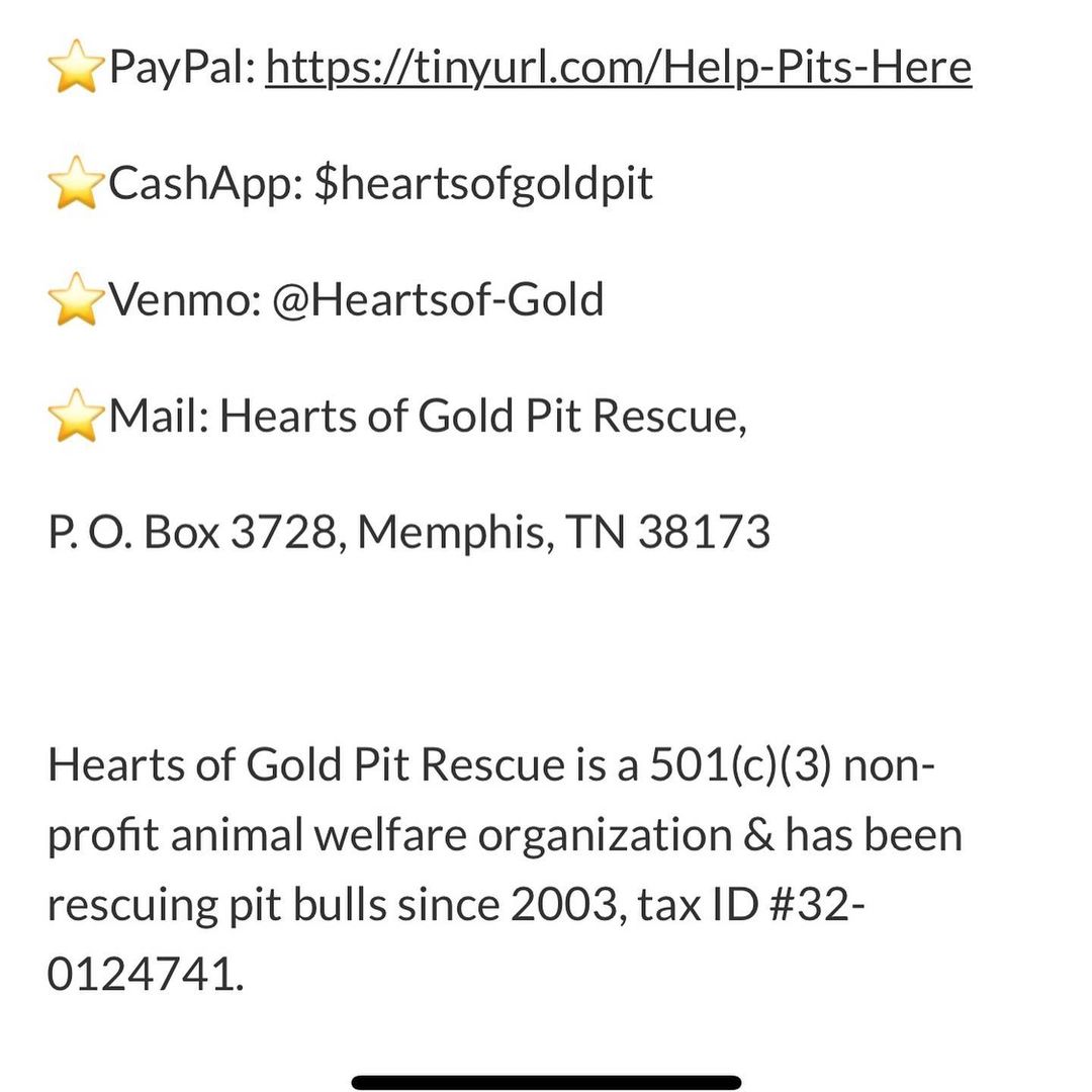 Please swipe to get all the info and help us help Zeus. 

https://gofund.me/2517b05c

<a target='_blank' href='https://www.instagram.com/explore/tags/heartsofgold/'>#heartsofgold</a> <a target='_blank' href='https://www.instagram.com/explore/tags/memphisrescue/'>#memphisrescue</a> <a target='_blank' href='https://www.instagram.com/explore/tags/memphispets/'>#memphispets</a> <a target='_blank' href='https://www.instagram.com/explore/tags/memphispitbullrescue/'>#memphispitbullrescue</a> <a target='_blank' href='https://www.instagram.com/explore/tags/adoptdontshop/'>#adoptdontshop</a> <a target='_blank' href='https://www.instagram.com/explore/tags/dontbullymybreed/'>#dontbullymybreed</a> <a target='_blank' href='https://www.instagram.com/explore/tags/rescuefamily/'>#rescuefamily</a> <a target='_blank' href='https://www.instagram.com/explore/tags/puppy/'>#puppy</a> <a target='_blank' href='https://www.instagram.com/explore/tags/adorabully/'>#adorabully</a>