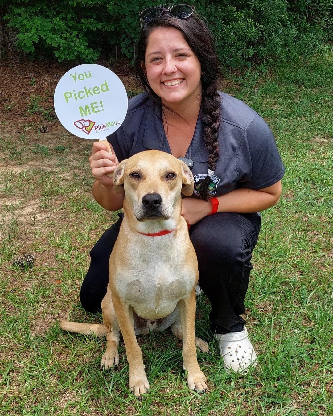 FREE ADOPTION EVENT - HAPPENING NOW 🐾 Today through June 27, 2021, <a target='_blank' href='https://www.instagram.com/explore/tags/TeamHorry/'>#TeamHorry</a> is participating in <a target='_blank' href='https://www.instagram.com/explore/tags/PickMeSC/'>#PickMeSC</a>, a statewide free adoption campaign. We have so many good girls and boys just waiting for their <a target='_blank' href='https://www.instagram.com/explore/tags/FureverFamily/'>#FureverFamily</a>! Email shelter@horrycounty.org or call 843-915-5172 to schedule an adoption appointment. 

<a target='_blank' href='https://www.instagram.com/explore/tags/HorryCounty/'>#HorryCounty</a> <a target='_blank' href='https://www.instagram.com/explore/tags/HCACC/'>#HCACC</a> <a target='_blank' href='https://www.instagram.com/explore/tags/AdoptDontShop/'>#AdoptDontShop</a> <a target='_blank' href='https://www.instagram.com/explore/tags/AdoptionStories/'>#AdoptionStories</a> <a target='_blank' href='https://www.instagram.com/explore/tags/dogsofinstagram/'>#dogsofinstagram</a> <a target='_blank' href='https://www.instagram.com/explore/tags/catsofinstagram/'>#catsofinstagram</a> <a target='_blank' href='https://www.instagram.com/explore/tags/shelterdog/'>#shelterdog</a> <a target='_blank' href='https://www.instagram.com/explore/tags/Dogs/'>#Dogs</a>