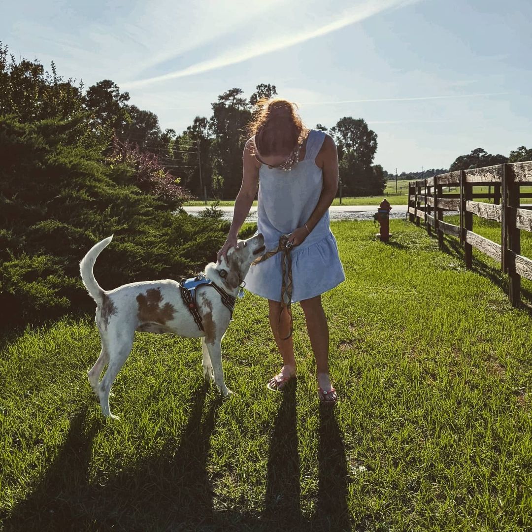 Angels come in all shapes. Megan and her family have big hearts, patient minds, and loving hands. We are in love with this picture of Pearl (heartworm positive 7 yr old) going to her new foster home. Thank you fosters& volunteers. ❤️ Foster to adopt sweet Pearl at fouron.org The goodest girl. <a target='_blank' href='https://www.instagram.com/explore/tags/houndsofIG/'>#houndsofIG</a> <a target='_blank' href='https://www.instagram.com/explore/tags/underdogsNC/'>#underdogsNC</a>