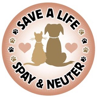 We have appointments available with the Rascal Unit Spay and Neuter Clinic for July 21!  Visit our website for additional information and how to schedule an appointment. 
Please share with family and friends 🐾🐾
www.Luv4k9s.org/spay-neuter-clinic