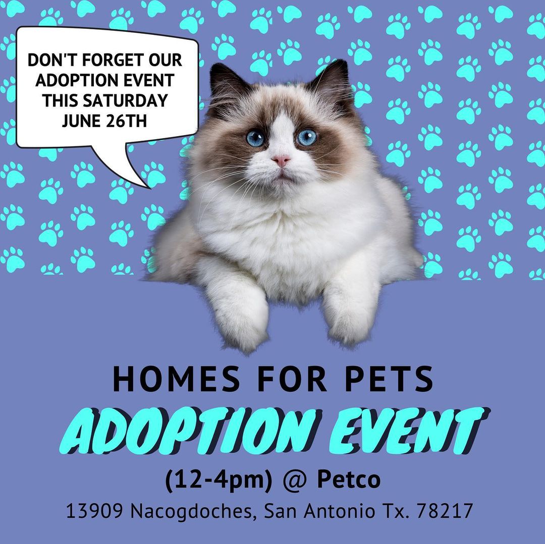 Come out and see us tomorrow at Petco . We will have lots of sweet kittens for adoption. <a target='_blank' href='https://www.instagram.com/explore/tags/adoption/'>#adoption</a> <a target='_blank' href='https://www.instagram.com/explore/tags/adoptme/'>#adoptme</a> <a target='_blank' href='https://www.instagram.com/explore/tags/adoptdontshop/'>#adoptdontshop</a>❤️ <a target='_blank' href='https://www.instagram.com/explore/tags/petco/'>#petco</a> <a target='_blank' href='https://www.instagram.com/explore/tags/kittensforadoption/'>#kittensforadoption</a> <a target='_blank' href='https://www.instagram.com/explore/tags/kittens/'>#kittens</a> <a target='_blank' href='https://www.instagram.com/explore/tags/sanantonio/'>#sanantonio</a> <a target='_blank' href='https://www.instagram.com/explore/tags/adoptionevent/'>#adoptionevent</a>