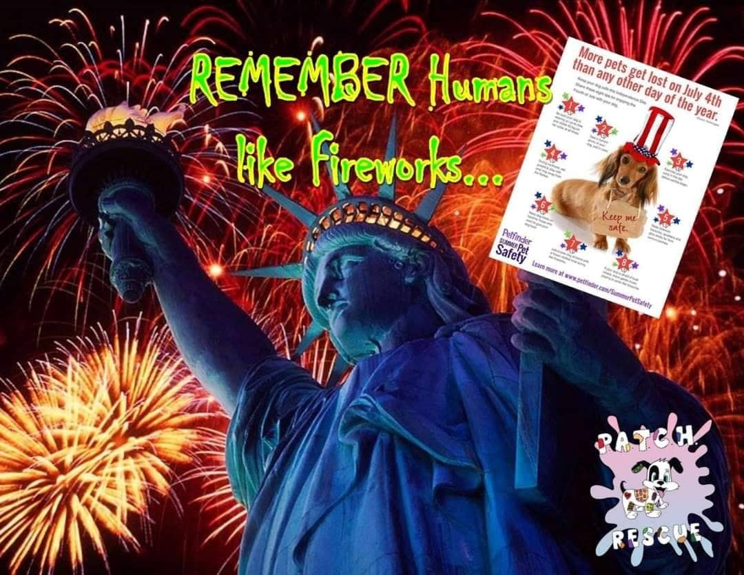 A week from today will be the BIGGEST shelter day of the year.

What does this mean?

Animals will be put down to make space for the onslaught of animals being turned into the shelter July 4th and 5th due to SO many getting spooked from fireworks!

Please leave the fireworks displays to the professionals to allow for planning of those who DO NOT want to participate, avoiding personal injuries, potential fires, etc...

Animals do NOT like fireworks!
Humans with PTSD do not like fireworks!
Respect others!