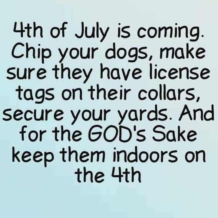 A week from today will be the BIGGEST shelter day of the year.

What does this mean?

Animals will be put down to make space for the onslaught of animals being turned into the shelter July 4th and 5th due to SO many getting spooked from fireworks!

Please leave the fireworks displays to the professionals to allow for planning of those who DO NOT want to participate, avoiding personal injuries, potential fires, etc...

Animals do NOT like fireworks!
Humans with PTSD do not like fireworks!
Respect others!