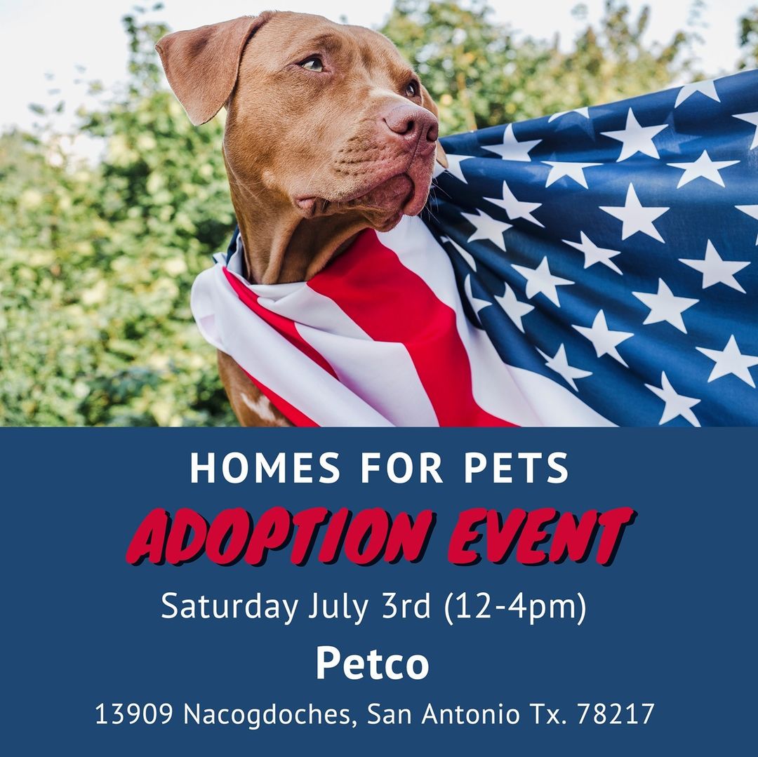 It's <a target='_blank' href='https://www.instagram.com/explore/tags/IndependenceDay/'>#IndependenceDay</a> weekend, and what better way to spend this Fourth of July than by adopting one our sweet rescue pets. 

<a target='_blank' href='https://www.instagram.com/explore/tags/adoptdontshop/'>#adoptdontshop</a> <a target='_blank' href='https://www.instagram.com/explore/tags/resuce/'>#resuce</a> <a target='_blank' href='https://www.instagram.com/explore/tags/fourthofjuly/'>#fourthofjuly</a> <a target='_blank' href='https://www.instagram.com/explore/tags/adoptable/'>#adoptable</a> <a target='_blank' href='https://www.instagram.com/explore/tags/resucedog/'>#resucedog</a> <a target='_blank' href='https://www.instagram.com/explore/tags/rescuecat/'>#rescuecat</a> <a target='_blank' href='https://www.instagram.com/explore/tags/adoptionrocks/'>#adoptionrocks</a> <a target='_blank' href='https://www.instagram.com/explore/tags/kittens/'>#kittens</a> <a target='_blank' href='https://www.instagram.com/explore/tags/volunteer/'>#volunteer</a> <a target='_blank' href='https://www.instagram.com/explore/tags/donate/'>#donate</a> <a target='_blank' href='https://www.instagram.com/explore/tags/foster/'>#foster</a>